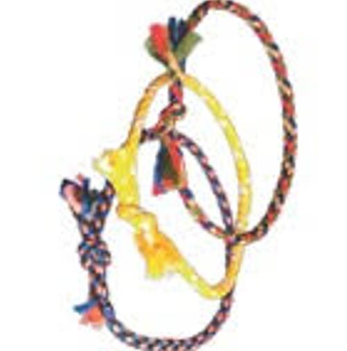 Friendship Bracelet Friendship Bracelet
